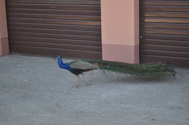 3 Bedroom Property for Sale in Heilbron Free State